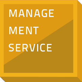 UI labs Management Service 