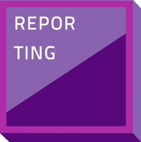 Reporting