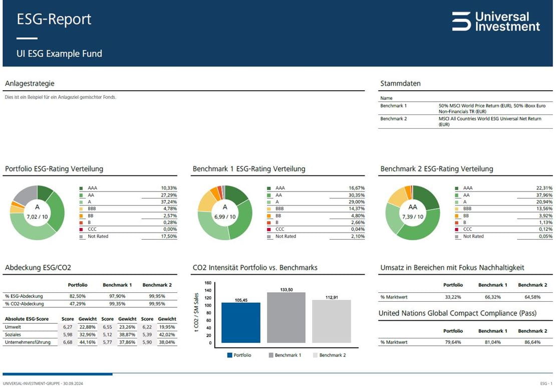 ESG Report-Muster 1