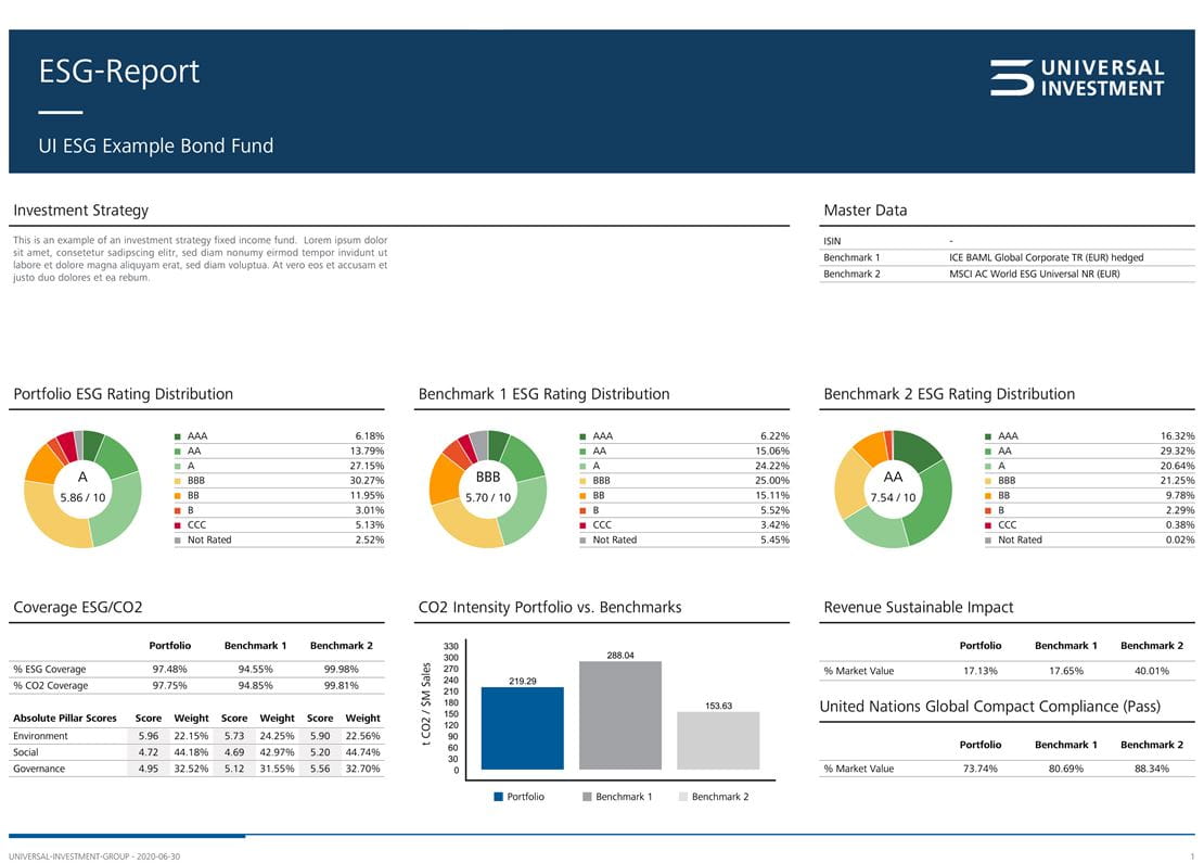 ESG-Report Example