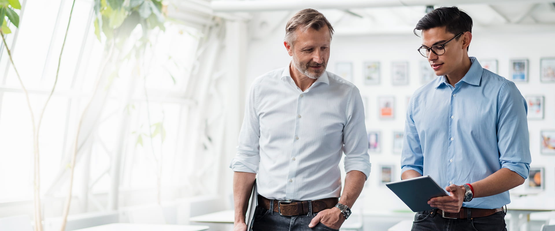 Career Universal Investment