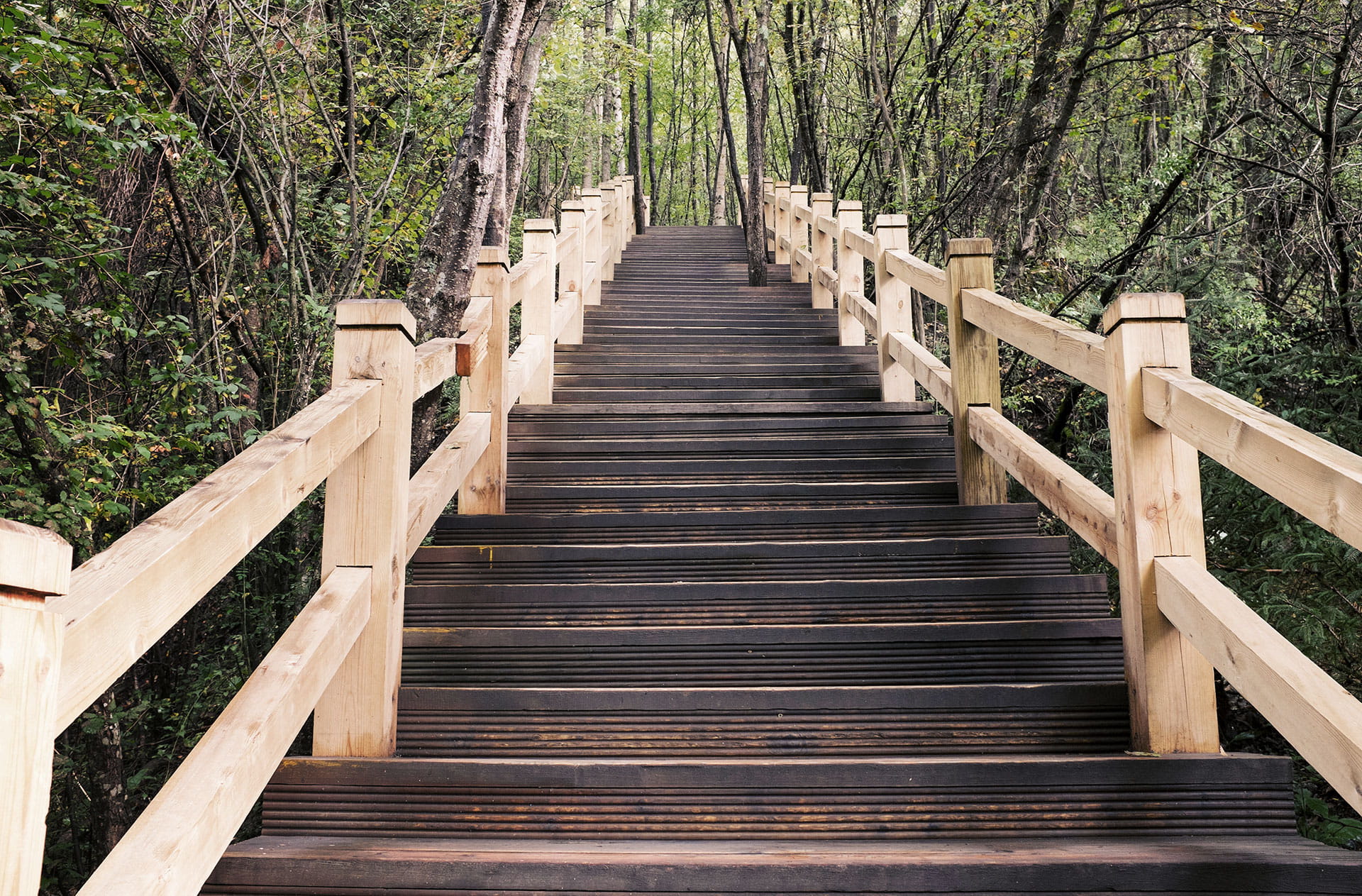 Treppe