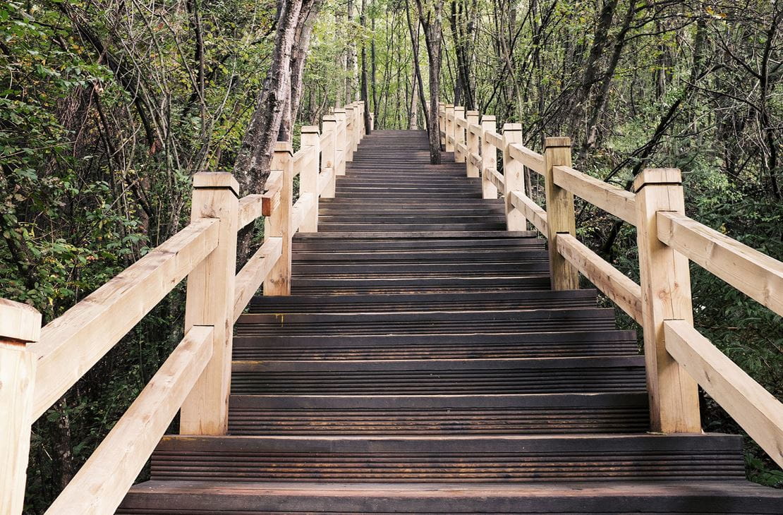 stairs in the jungle